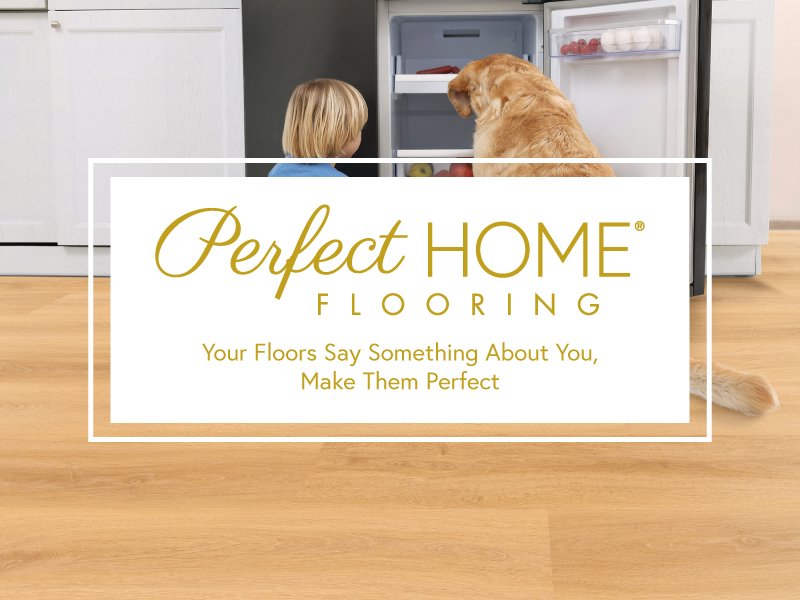 Perfect Home carpet at CarpetsPlus COLORTILE of Bozeman in Bozeman, MT